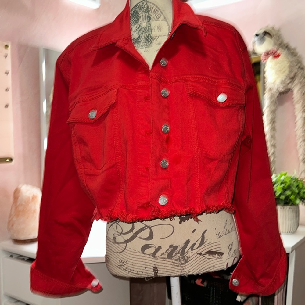 Express Cropped Jacket - image 1